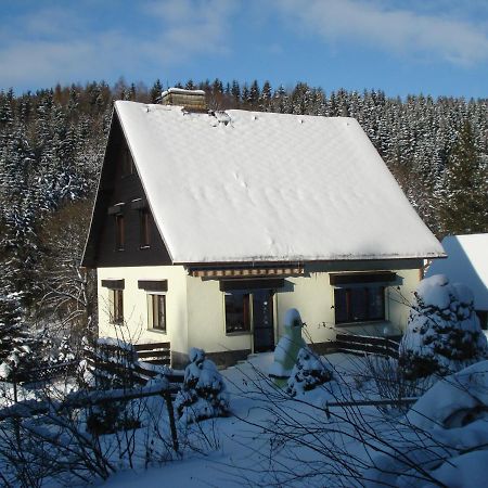 Erzgebirgsdomizil Am Schwartenberg Нойгаузен Екстер'єр фото