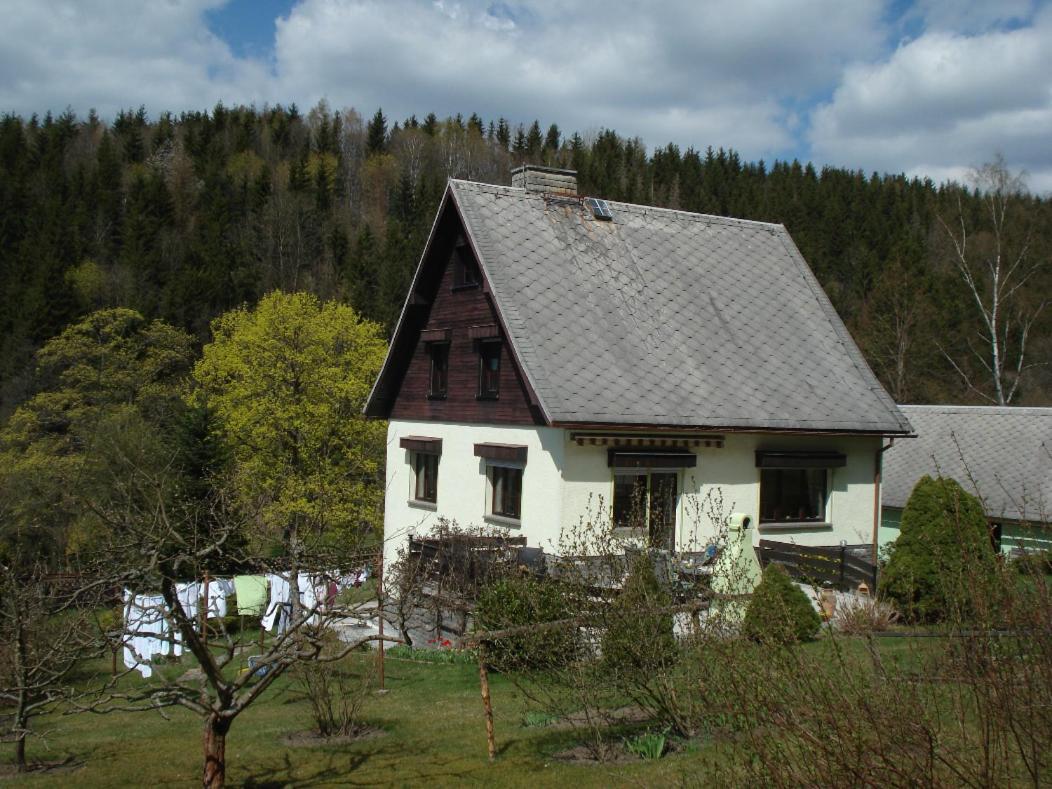 Erzgebirgsdomizil Am Schwartenberg Нойгаузен Екстер'єр фото